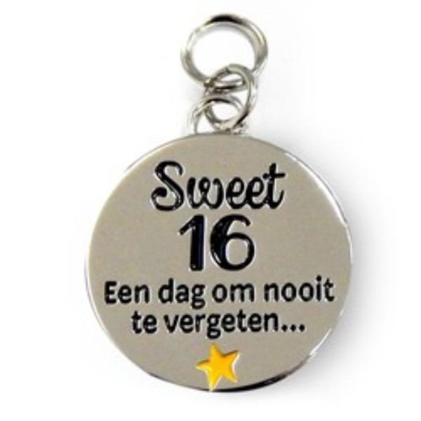 Charm for you sweet 16