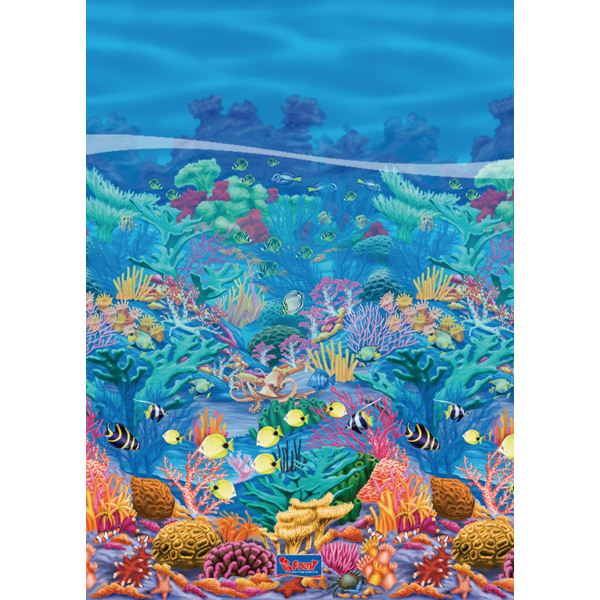 Scene setter koraal rif