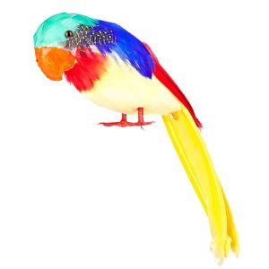 Papagaai tweets 30 cm