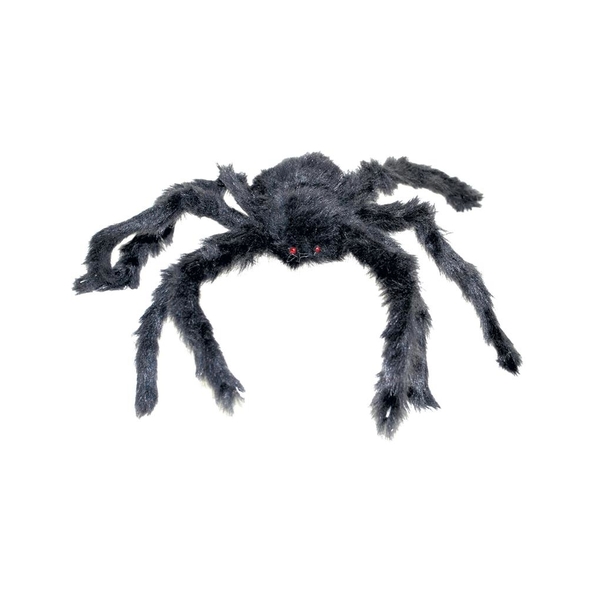 Spin harig zwart 40 cm