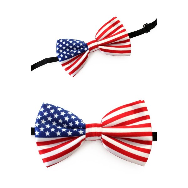 Informeer Kwijtschelding Hedendaags Vlinderdas Amerikaanse vlag - feestartikelen bestellen accessoires  buitenland USA