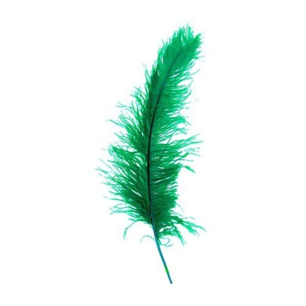Struisveer groen 50-60 cm spadona